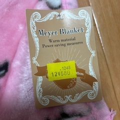 【お話中】ピンク🩷シマエナガひざ掛けの画像