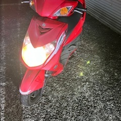 シグナス 通勤車 