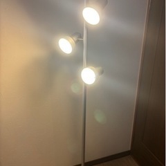 間接照明譲ります
