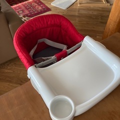 Inglesina 
の画像