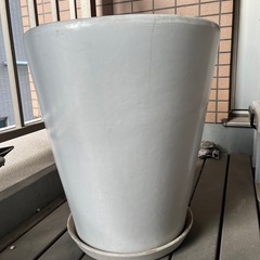 大きな鉢