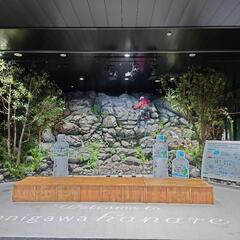 フッ軽な友達募集 − 群馬県