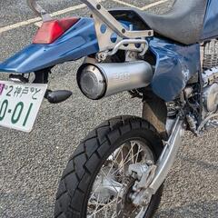 ヤマハTT250rの画像