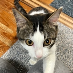 おいで、と言うと，やってくるお利口さん！