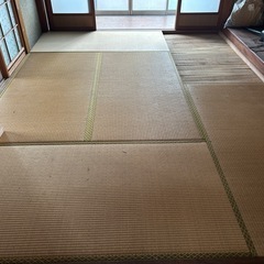 綺麗めな畳６枚