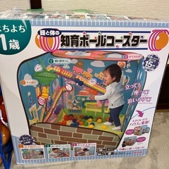 知育ボールコースターの画像