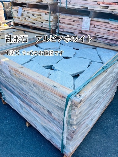 乱形石　アルビノホワイト\n