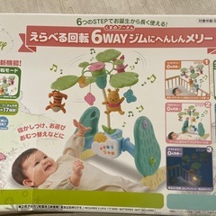メリー　(えらべる回転6wayジムにへんしんメリー)