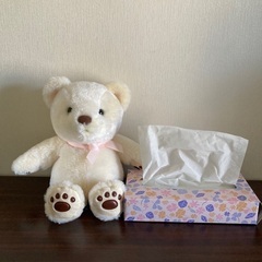 新品　くまちゃん　ぬいぐるみの画像