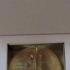 DHC モイスチュアクリアソープの画像