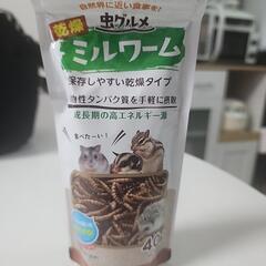 小動物の食事✨️