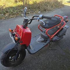 ズーマー　ZOOMER　AF58　バッテリー新品　オイル交換済　千葉県　配達可能の画像