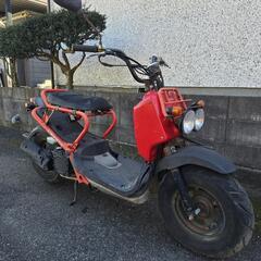 ズーマー　ZOOMER　AF58　バッテリー新品　オイル交換済　...