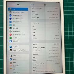 iPad mini 第5世代 Wi-Fi+Cellular 64...