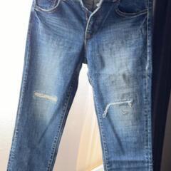 ﾊﾞｶﾞｰﾁの画像