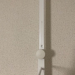 ニトリ Nポルダ 幅80cmタイプの画像
