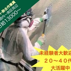アスベスト除去作業員募集！