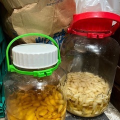 らっきょう(3年もの)瓶ごと