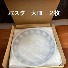 【新品】大皿　パスタ皿　２枚　moz