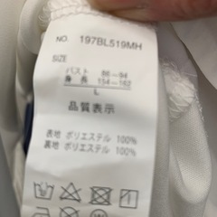 スカートとブラウスの画像