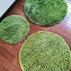 芝生ﾗｸﾞ
