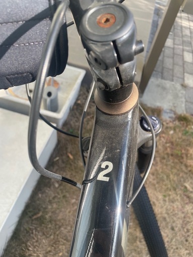 TREK DUAL SPORT 2