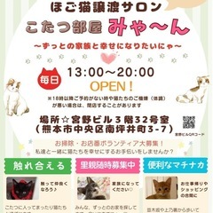 ❤️かわいいにゃんこがいっぱい💛保護猫譲渡サロンみゃ〜ん🩵