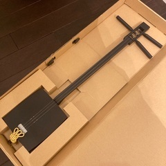 カジュアル　三味線
