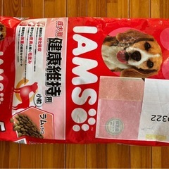 アイムス　成犬用　健康維持