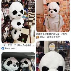 パンダマスク　ドンキで1980円の画像
