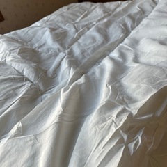 ニトリ　こたつ掛け布団　おまけとしてカバー付きの画像