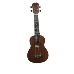 ウクレレの画像