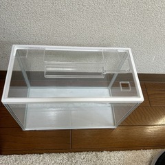 水槽　10ℓ 金魚　熱帯魚　メダカの画像