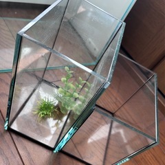 ガラス水槽