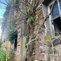 廃墟探索募集 − 青森県