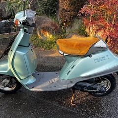 YAMAHA MINT50の画像
