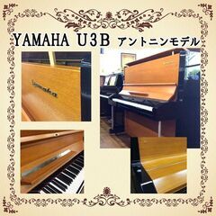 希少なモデルが入荷、展示中　ヤマハＵ3Ｂアントニンモデル  の画像