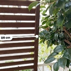 木製目隠しフェンスの画像