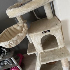 キャットタワー＋おもちゃ