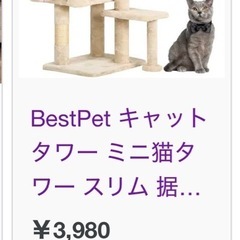 キャットタワー＋おもちゃの画像