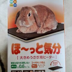 うさぎ用ヒーター（大）ほ～っと気分 リバーシブル ※町田駅もしく...