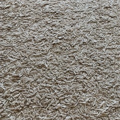 お譲りいたしますの画像