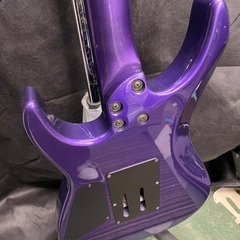 ◇ドリーム尼崎1号館◇ Fernandes FR-55 の画像
