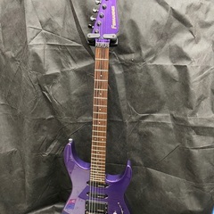 Fernandes FR-55 