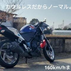 自賠責5年付きCBR250R スクランブラー仕様の画像