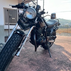 YAMAHA tw200の画像