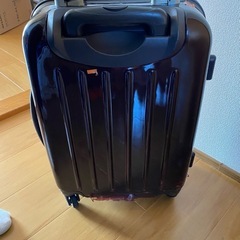 受取者決定　キャリーバッグの画像