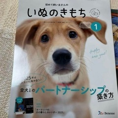 犬のきもち