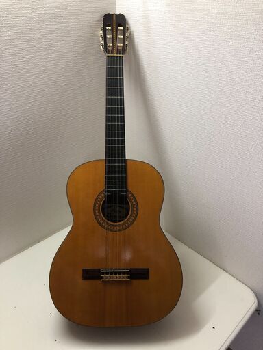 HOTTA アコースティックギター MODEL NO.100　250123-3