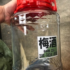 梅、フルーツ、らっきょなどをの画像